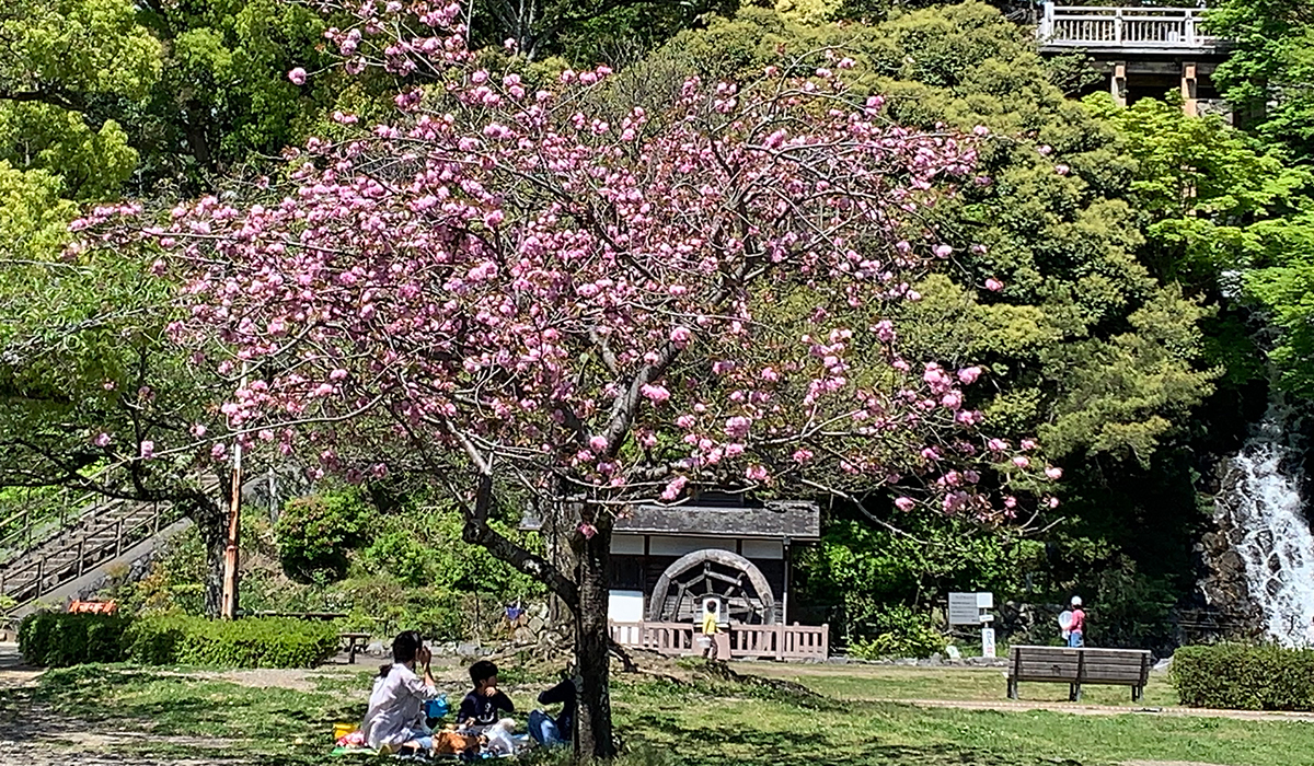 清水山公園